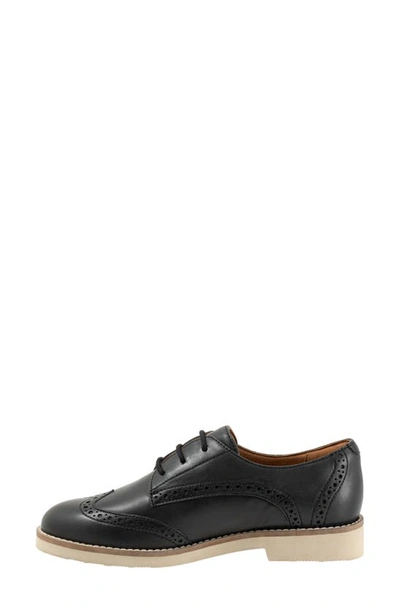 Softwalk Willet Wingtip Derby In Black