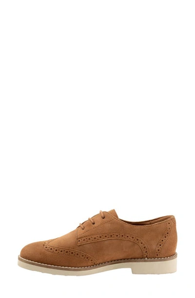 Softwalk Willet Wingtip Derby In Camel Nubuck