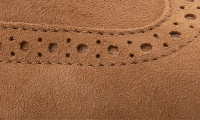 Softwalk Willet Wingtip Derby In Camel Nubuck