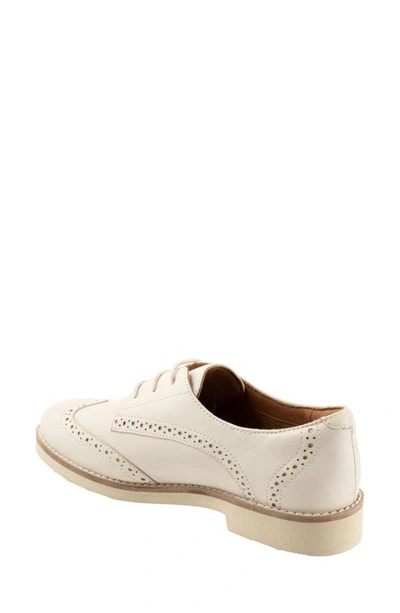Softwalk Willet Wingtip Derby In Ivory