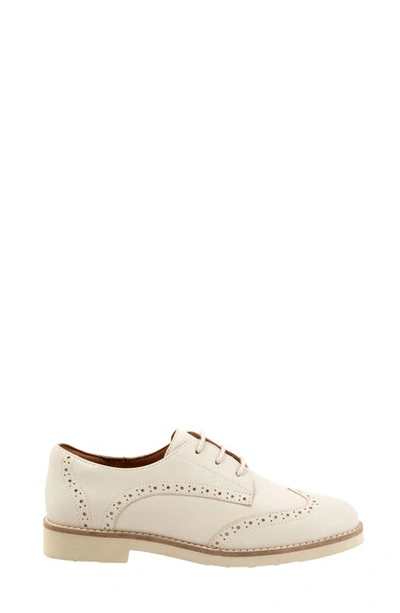 Softwalk Willet Wingtip Derby In Ivory