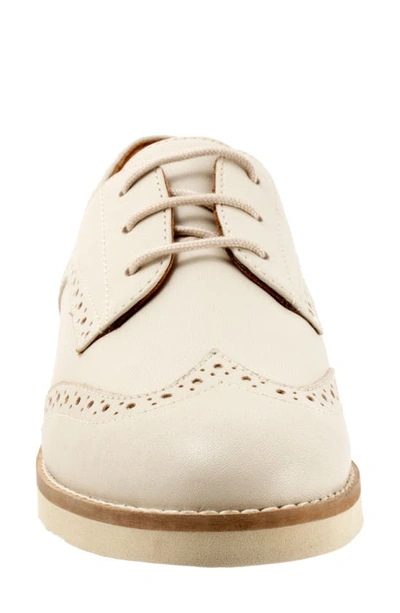 Softwalk Willet Wingtip Derby In Ivory