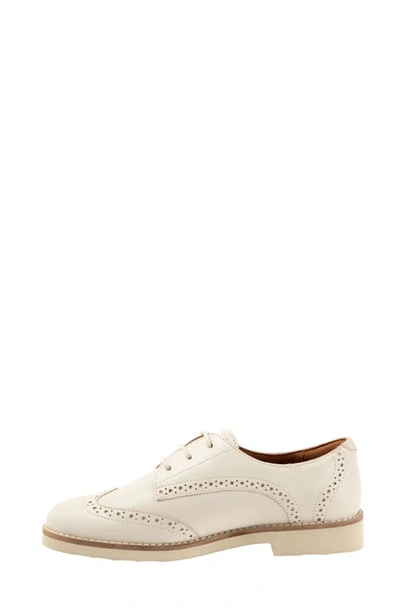 Softwalk Willet Wingtip Derby In Ivory