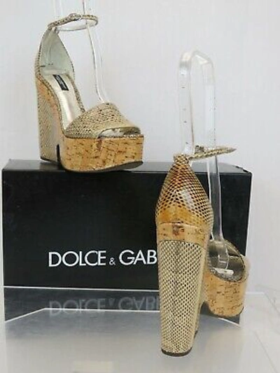 Pre-owned Dolce & Gabbana Ayers Sughero Python Leather Platform Wedges Sandals 36 In Beige