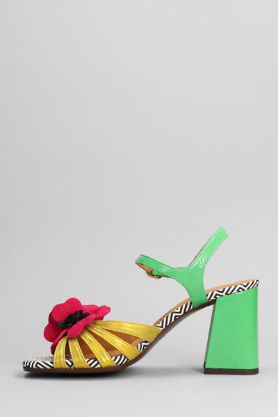 Shop Chie Mihara Pirota Sandals In Multicolor Leather