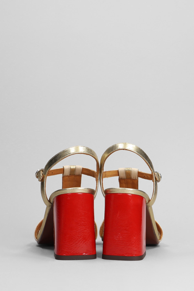 Shop Chie Mihara Piyata Sandals In Gold Leather