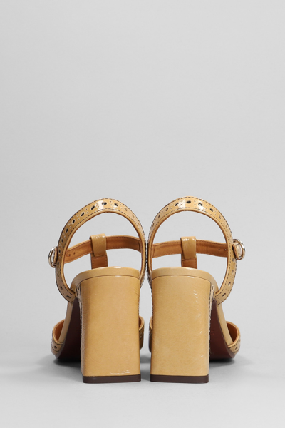 Shop Chie Mihara Mira Pumps In Beige Leather