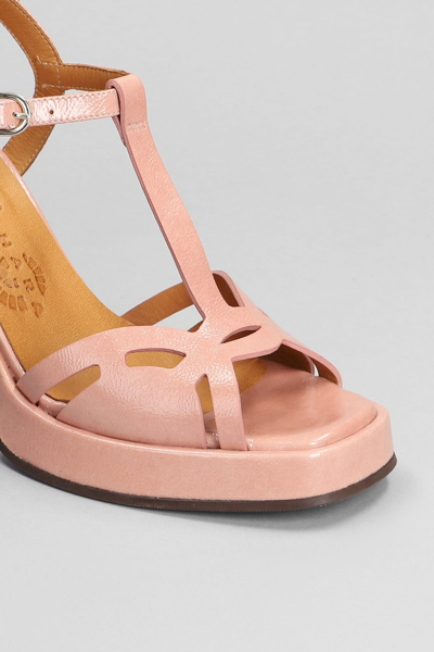 Shop Chie Mihara Zinto Sandals In Rose-pink Leather