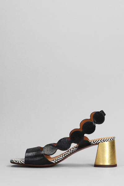 Shop Chie Mihara Roka Sandals In Black Leather