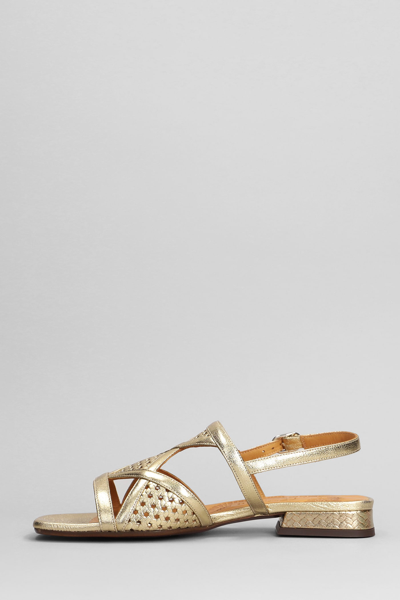 Shop Chie Mihara Tassi Flats In Gold Leather