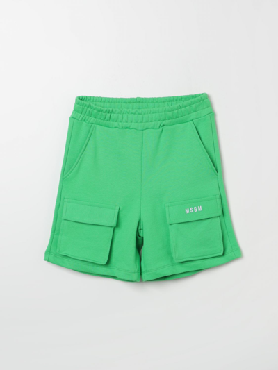 Shop Msgm Shorts  Kids Kids Color Green