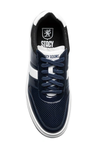 Shop Stacy Adams Cashton High Gloss Sneaker In Navy