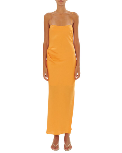 Shop Iro Maxi Dress