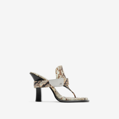 Shop Burberry Leather Bay Sandals In Serpent