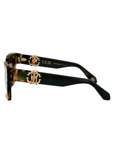 Roberto Cavalli Brown Acetate Sunglasses In Brown