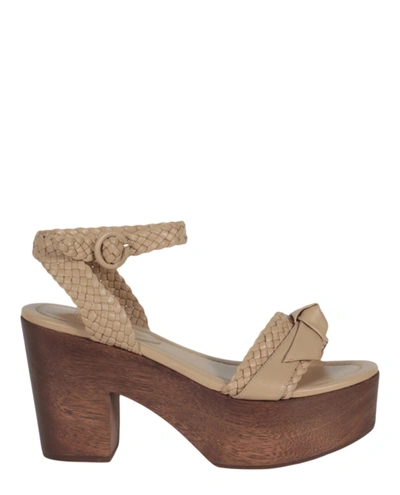 Shop Alexandre Birman Clarita Woven Clog 110 Sandals In Brown