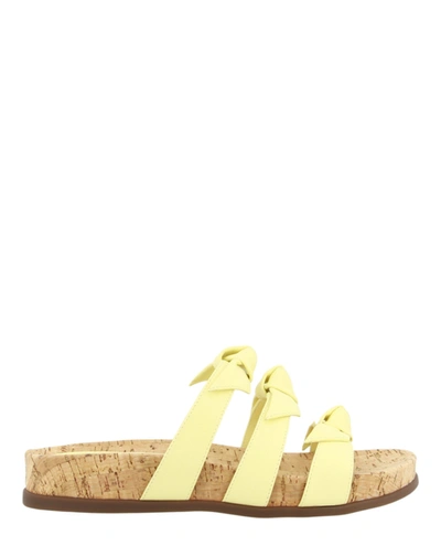 Shop Alexandre Birman Lolita Pool Sandals In Yellow