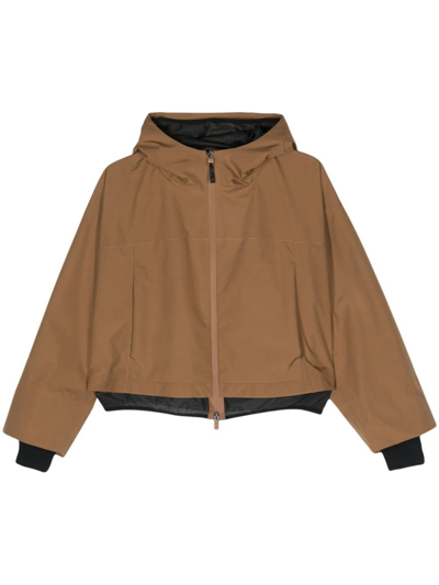 Shop Herno Gore-tex Laminar Jacket In Brown