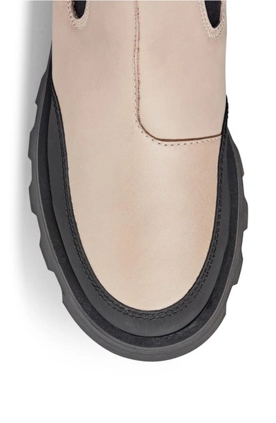 Shop Cougar Shani Waterproof Chelsea Boot In Cream