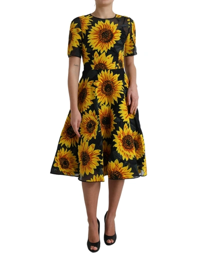 Shop Dolce & Gabbana Black Sunflower Print Nylon A-line Midi Dress