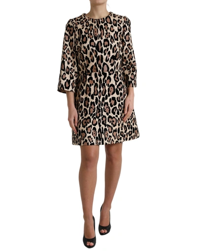 Shop Dolce & Gabbana Brown Leopard Print Nylon Aline Mini Dress