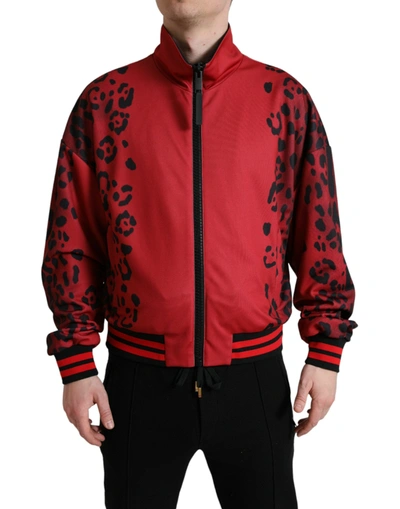 Shop Dolce & Gabbana Red Leopard Polyester Bomber Full Zip Jacket