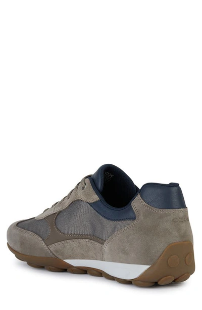 Shop Geox Snake Sneaker In Dove Grey
