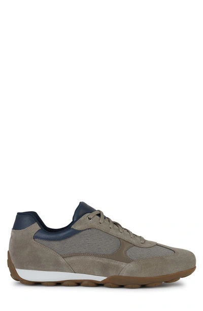 Shop Geox Snake Sneaker In Dove Grey