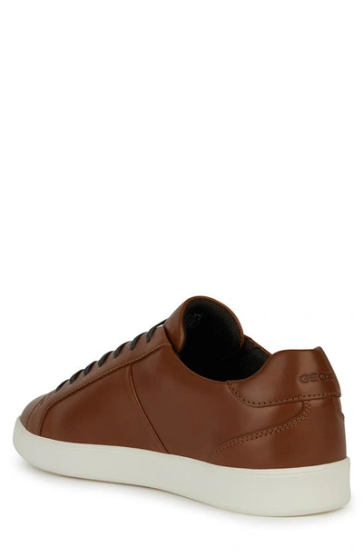 Shop Geox Regio Sneaker In Light Brown