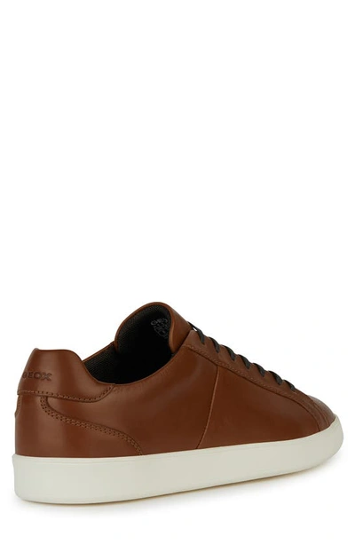 Shop Geox Regio Sneaker In Light Brown