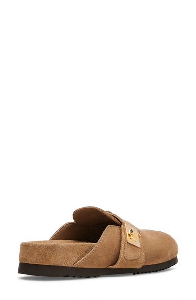 Shop Steve Madden Money Clog In Taupe Sued