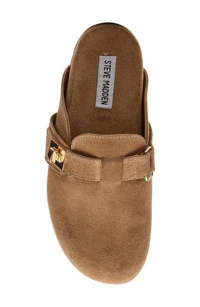 Shop Steve Madden Money Clog In Taupe Sued