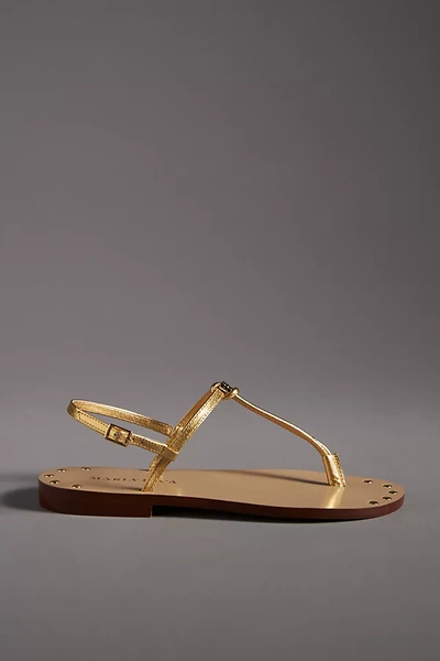 Shop Maria Luca Iset T-strap Metallic Leather Sandals In Gold