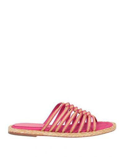 Paloma Barceló Woman Espadrilles Fuchsia Size 5 Textile Fibers In Pink