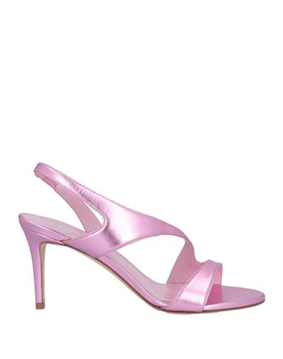Shop Lella Baldi Woman Sandals Pink Size 9 Leather
