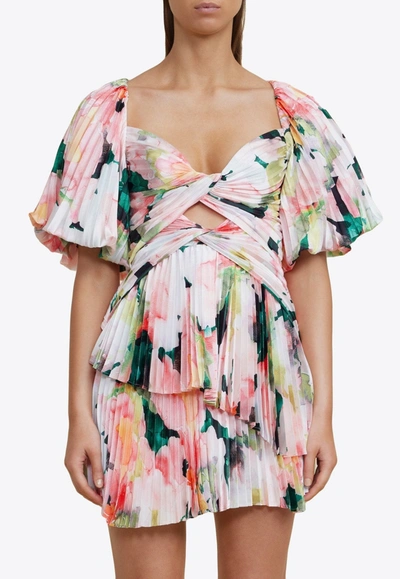 Shop Acler Bassett Floral Pleated Mini Dress In Multicolor