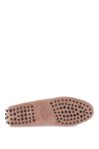 Shop Tod's Gommino Loafers In Cotto Chiaro (pink)