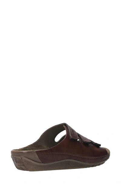 Shop Wolky Nomad Slide Sandal In Cognac Leather