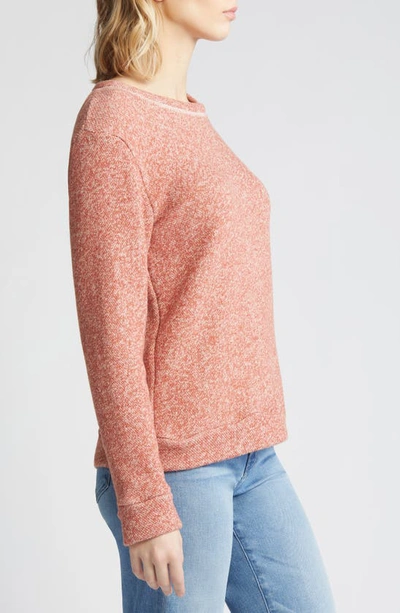 Loveappella Crewneck Cotton Sweatshirt In Terracotta