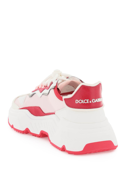 Shop Dolce & Gabbana Daymaster Sneakers In Bianco Rosa (white)