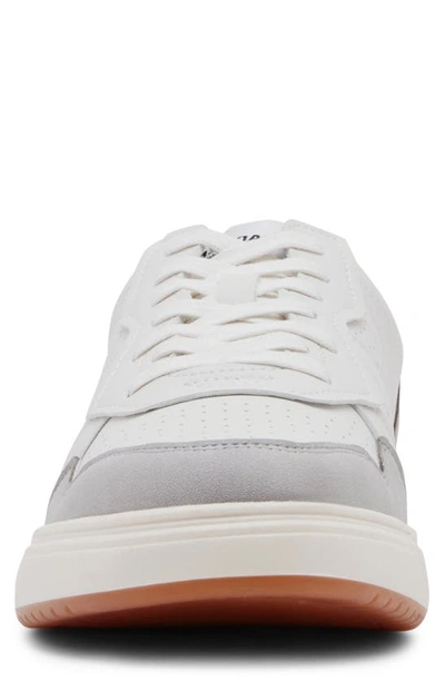 Shop Madden M-toocko Sneaker In White Multi