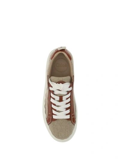 Shop Chloé Sneakers In White/brown 1