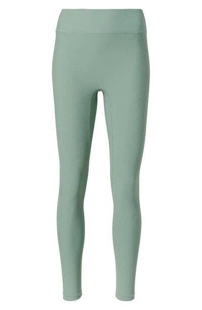 Shop Bandier Center Stage High Waist Rib Leggings In Chinois Green