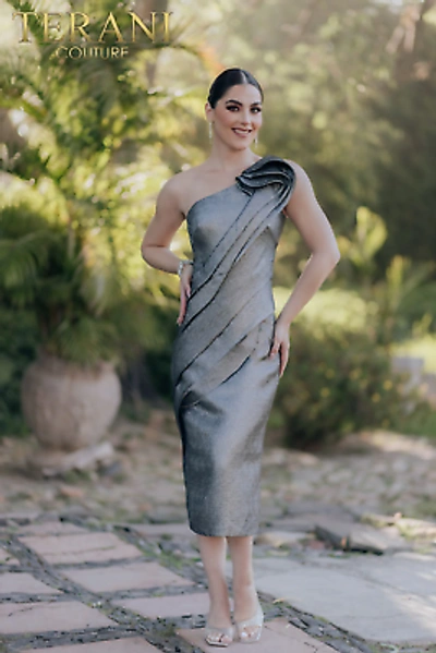 Pre-owned Terani Couture 232c1138 Evening Dress Lowest Price Guarantee Authentic In Dark Silver