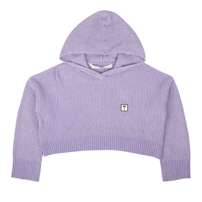 Pre-owned Palm Angels Pxp Sweater Ribbed Cropped Hoodie 'purple'