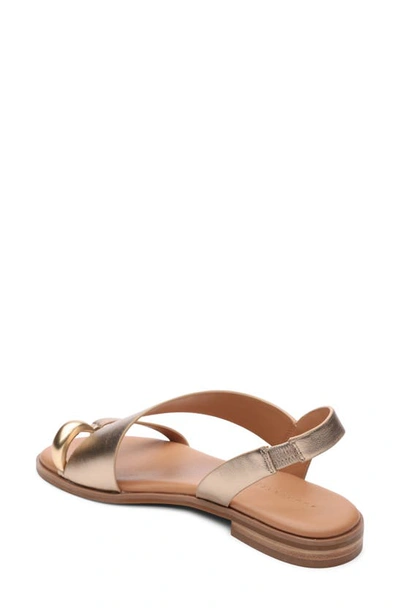 Sanctuary Women's Spring Crisscross Buckled Sandals In Nude Bronze