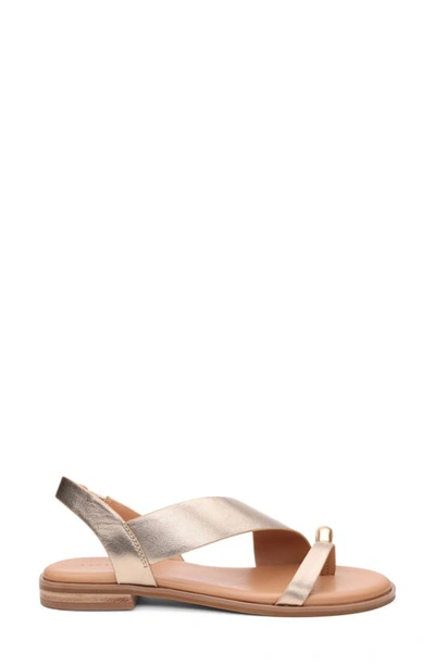 Sanctuary Women's Spring Crisscross Buckled Sandals In Nude Bronze