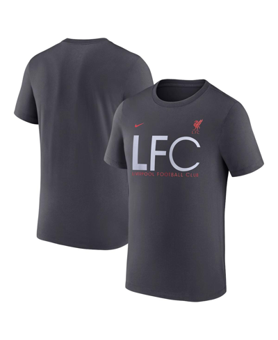 Shop Nike Men's  Gray Liverpool Mercurial T-shirt