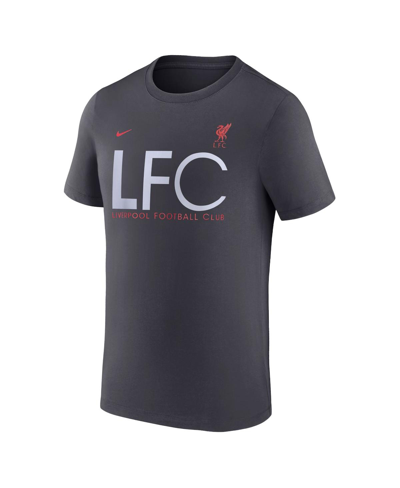 Shop Nike Men's  Gray Liverpool Mercurial T-shirt