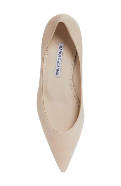 Manolo Blahnik Lista Pointed Toe Pump In Cream
